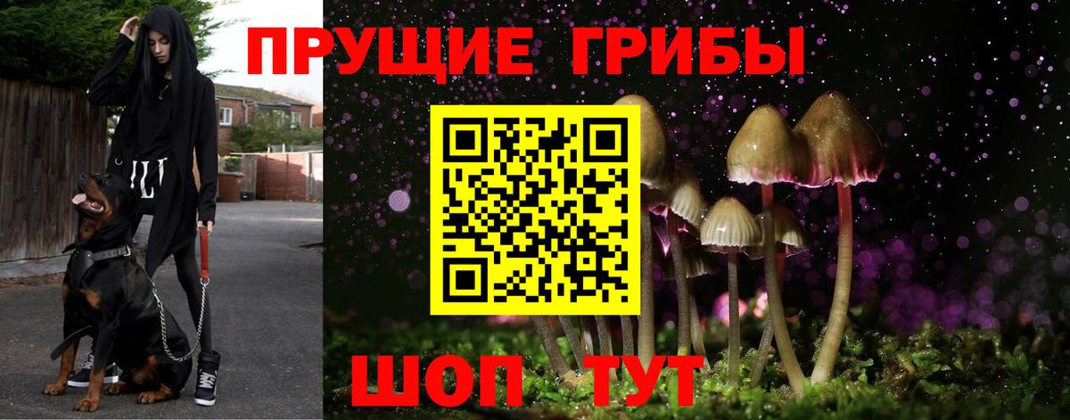 Клин  Псилоцибиновые грибы прущие грибы  где можно купить наркотик  Вход с VPN 